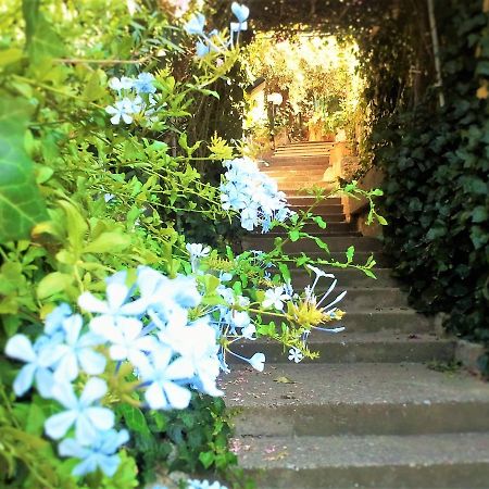 체팔루 Delle Rose B&B 외부 사진