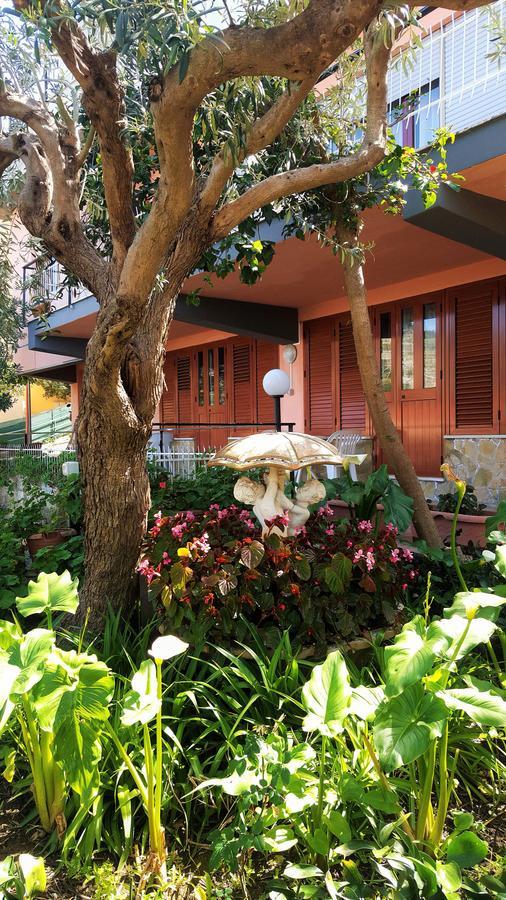 체팔루 Delle Rose B&B 외부 사진