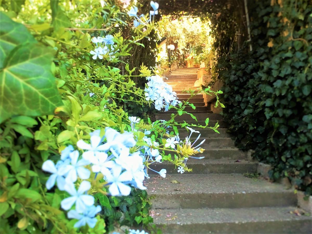 체팔루 Delle Rose B&B 외부 사진