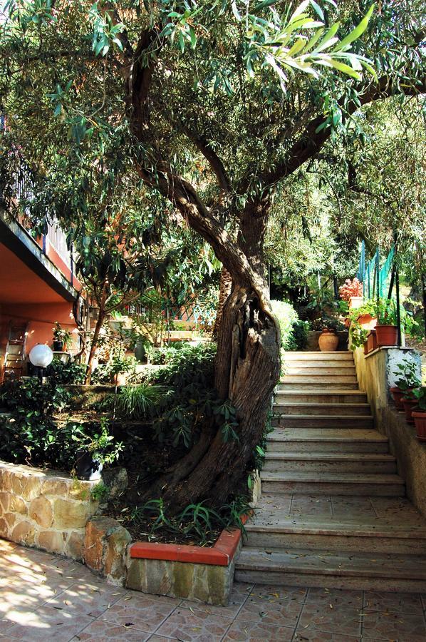 체팔루 Delle Rose B&B 외부 사진