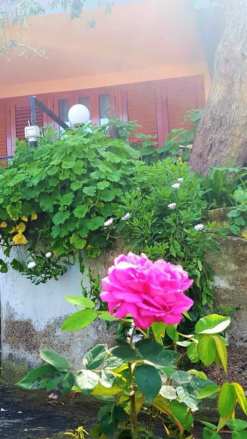 체팔루 Delle Rose B&B 외부 사진